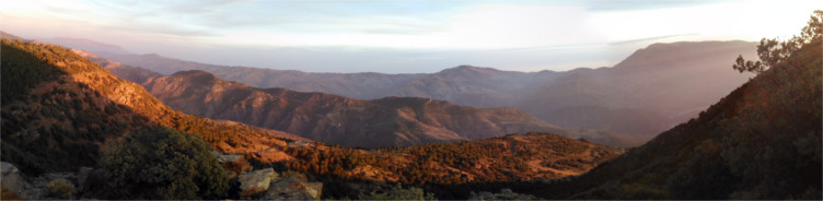  andalusia